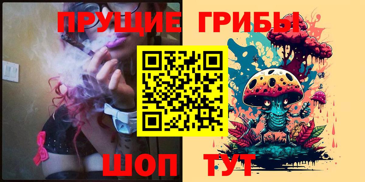 Кемерово  Галлюциногенные грибы Cubensis  Вход с VPN  Галлюциногенные грибы GOLDEN TEACHER 