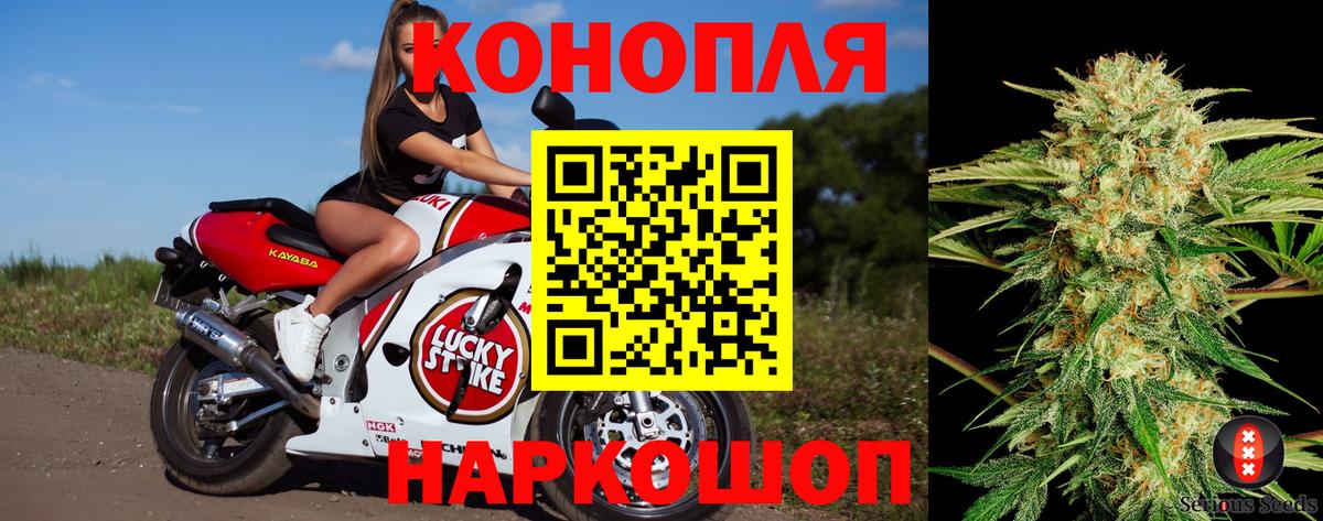 Бошки марихуана семена  Вход с VPN  Каннабис конопля  Конопля ГИДРОПОН  Кемерово  Марихуана тримм 